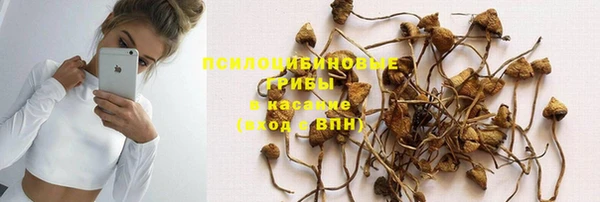 твердый Кострома
