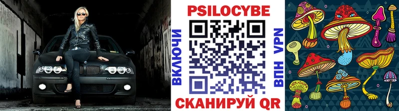 Галлюциногенные грибы Psilocybe Кировск