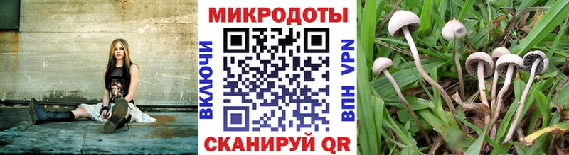 Галлюциногенные грибы Cubensis  Купить  Кировск 